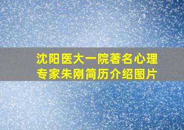 沈阳医大一院著名心理专家朱刚简历介绍图片