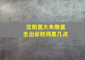 沈阳医大朱刚医生出诊时问是几点