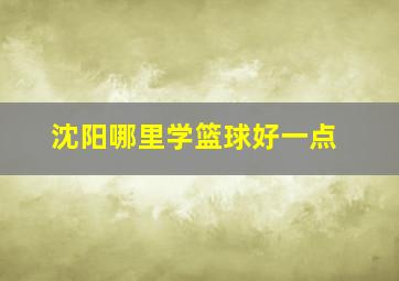 沈阳哪里学篮球好一点