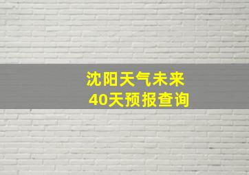 沈阳天气未来40天预报查询