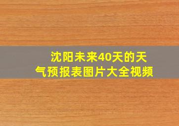 沈阳未来40天的天气预报表图片大全视频