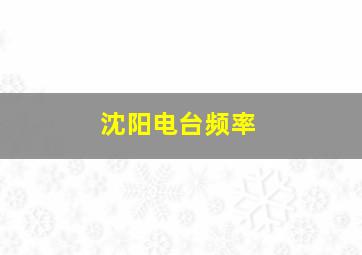 沈阳电台频率