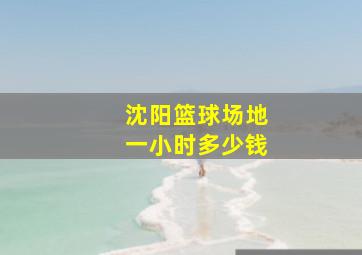 沈阳篮球场地一小时多少钱