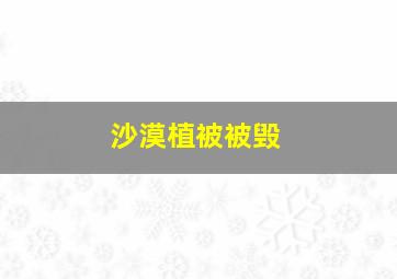 沙漠植被被毁