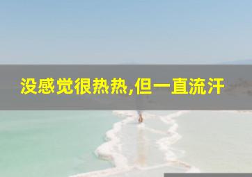 没感觉很热热,但一直流汗