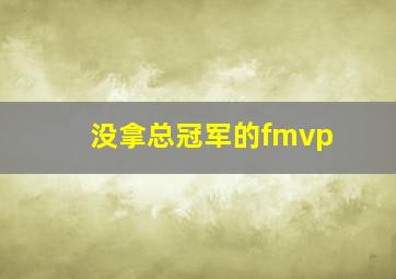 没拿总冠军的fmvp