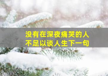 没有在深夜痛哭的人不足以谈人生下一句