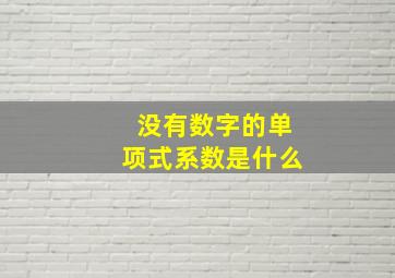 没有数字的单项式系数是什么