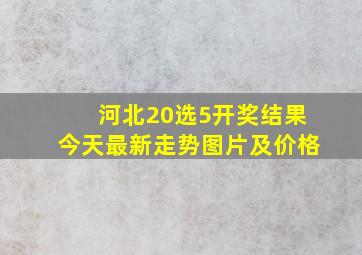 河北20选5开奖结果今天最新走势图片及价格