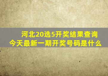 河北20选5开奖结果查询今天最新一期开奖号码是什么