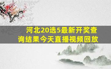 河北20选5最新开奖查询结果今天直播视频回放