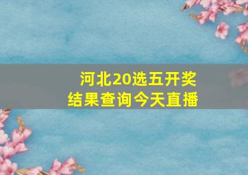 河北20选五开奖结果查询今天直播