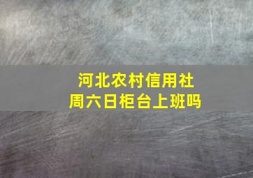 河北农村信用社周六日柜台上班吗