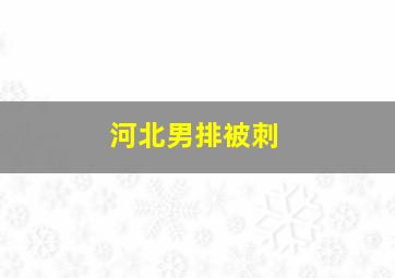 河北男排被刺