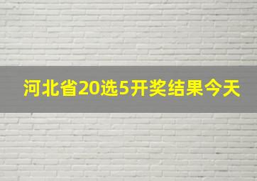 河北省20选5开奖结果今天