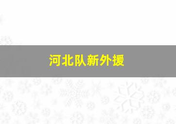 河北队新外援