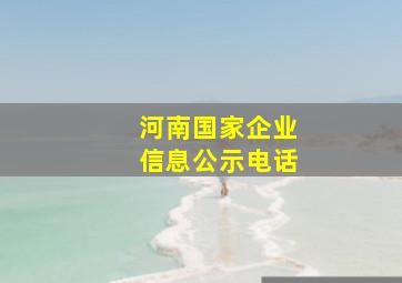 河南国家企业信息公示电话