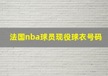 法国nba球员现役球衣号码