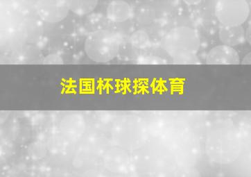 法国杯球探体育