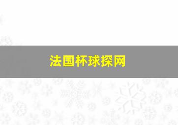 法国杯球探网