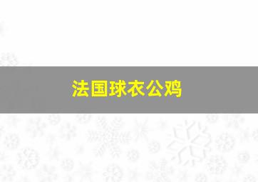 法国球衣公鸡