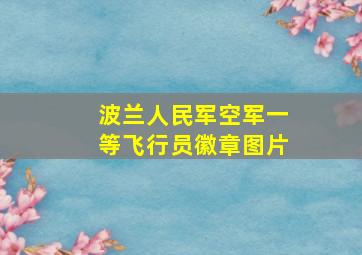 波兰人民军空军一等飞行员徽章图片