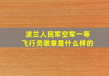 波兰人民军空军一等飞行员徽章是什么样的