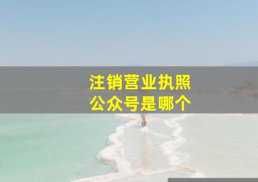 注销营业执照公众号是哪个