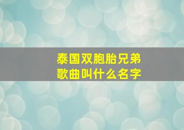 泰国双胞胎兄弟歌曲叫什么名字