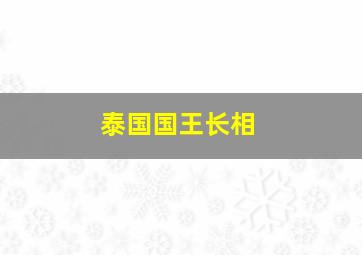 泰国国王长相