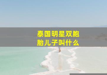 泰国明星双胞胎儿子叫什么