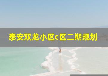 泰安双龙小区c区二期规划