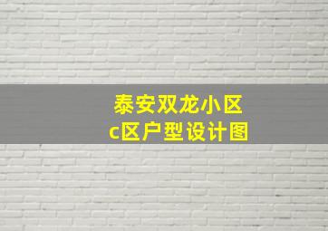 泰安双龙小区c区户型设计图