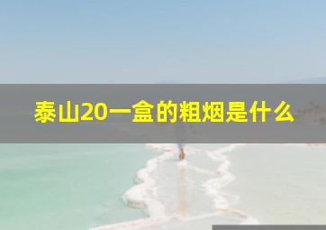 泰山20一盒的粗烟是什么