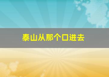 泰山从那个口进去