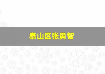 泰山区张勇智