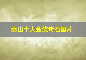 泰山十大金奖奇石图片