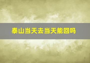 泰山当天去当天能回吗