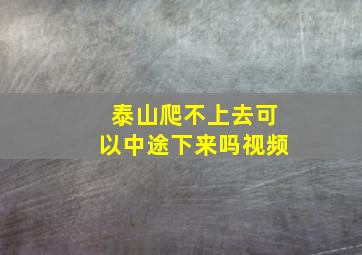 泰山爬不上去可以中途下来吗视频