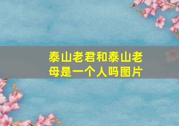 泰山老君和泰山老母是一个人吗图片