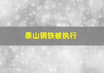 泰山钢铁被执行