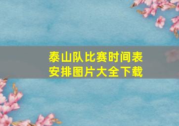 泰山队比赛时间表安排图片大全下载