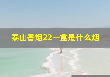 泰山香烟22一盒是什么烟