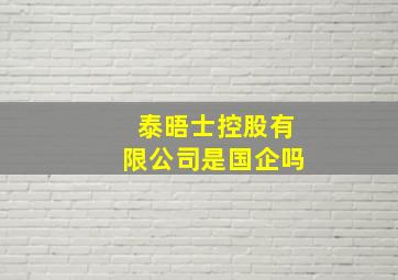 泰晤士控股有限公司是国企吗