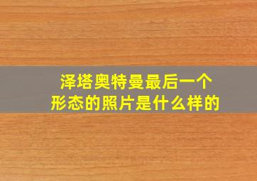 泽塔奥特曼最后一个形态的照片是什么样的