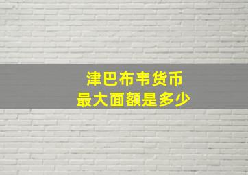 津巴布韦货币最大面额是多少