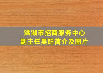 洪湖市招商服务中心副主任吴阳简介及图片