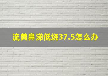 流黄鼻涕低烧37.5怎么办