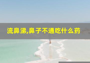 流鼻涕,鼻子不通吃什么药