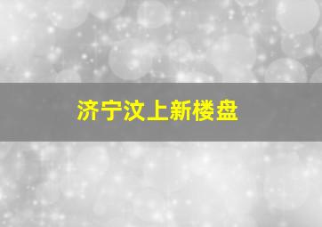 济宁汶上新楼盘